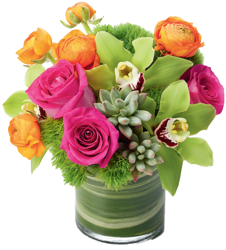 SAF-ROSES-ORCHID-AND-