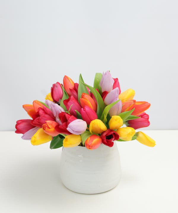 Home - Amazing Tulips - Best Florist in Tucson, Arizona - Mayfield Florist  - Same Day Flower Delivery » Mayfield Florist