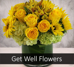 Get Well Flowers